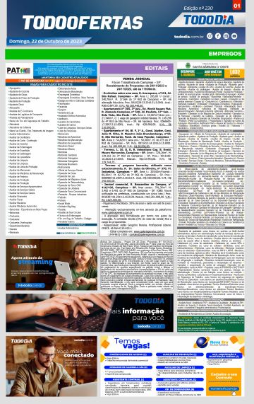 Capa: Todo Ofertas – Edição nº 230