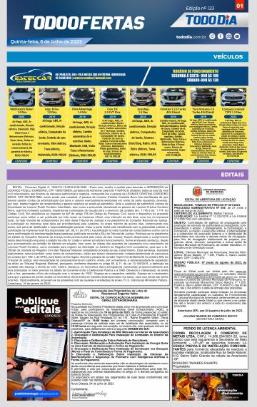 Capa: Todo Ofertas – Edição nº 133